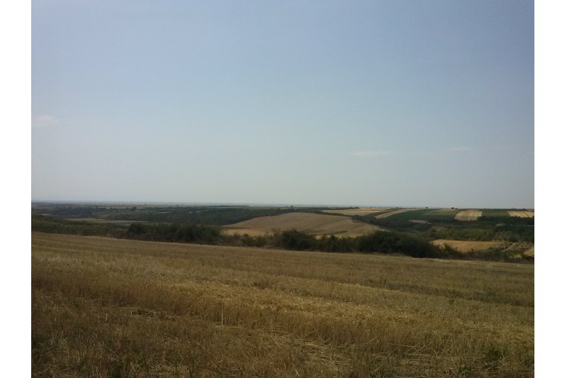 Срем, летње недељно јутро