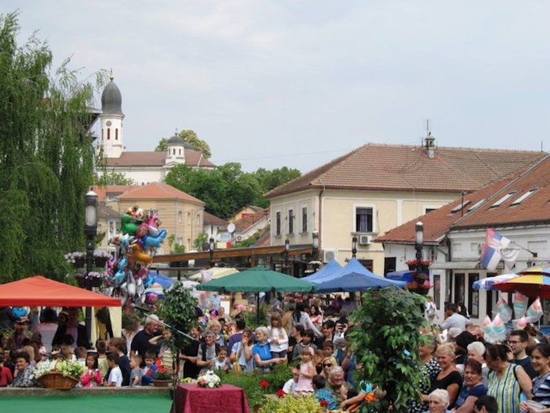 Сајам хортикултуре у грочанској чаршији