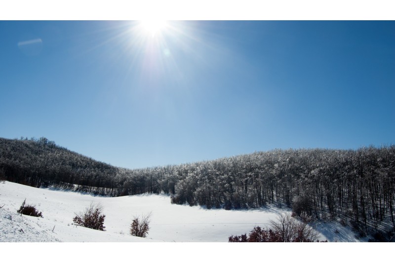 Brezovica
