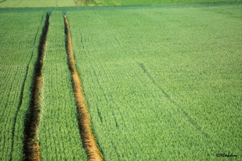 Програм бесплатних стручних обука за пољопривредна газдинства