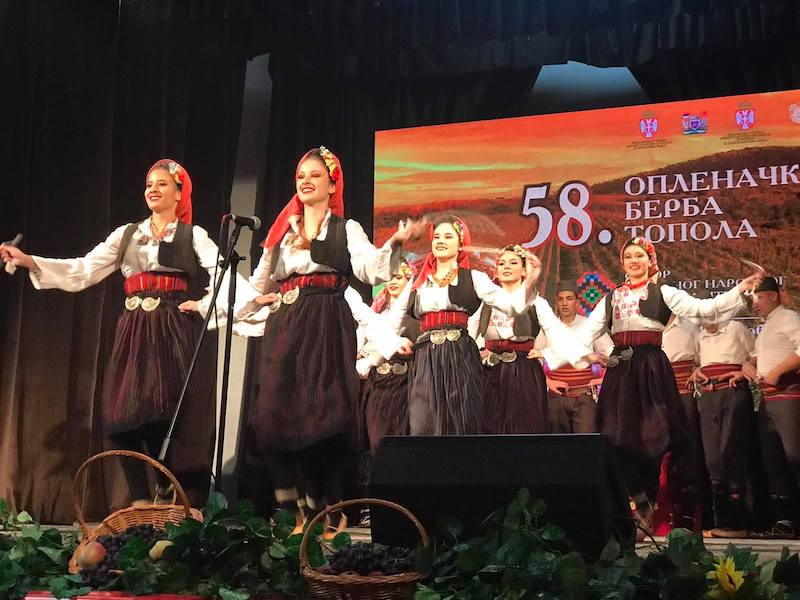 Опленачка берба 2021