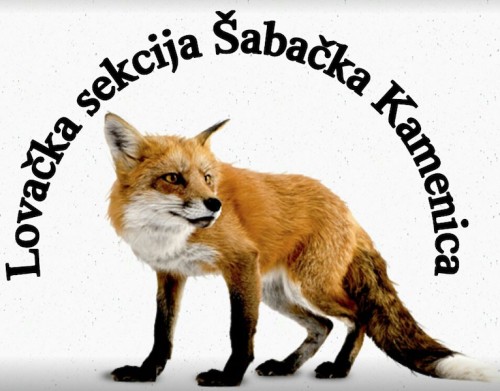 Каменичка лија