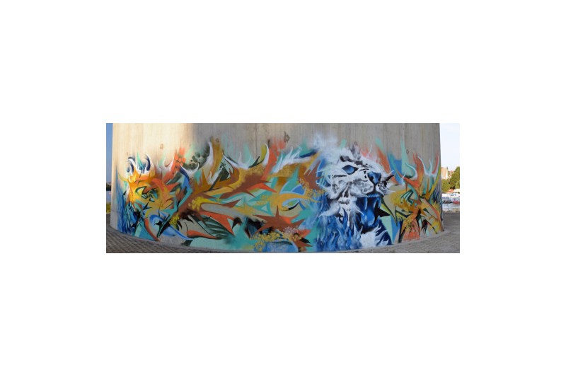 Јеленина архива