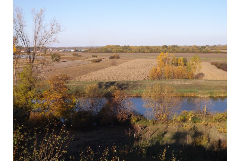 Језава