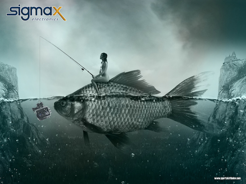 Акциона камера SIGMAX AT-Q301