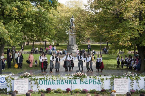 Опленачка берба