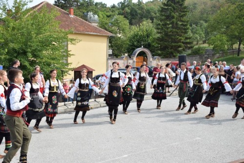 Великогоспоjински сабор 