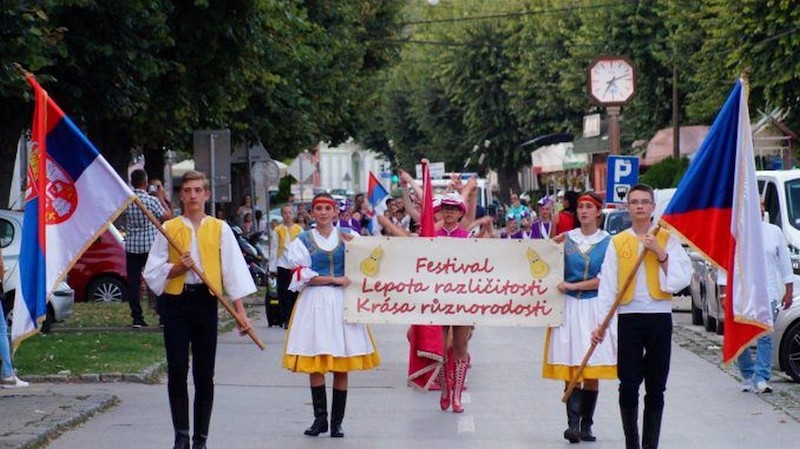 Лепота различитости