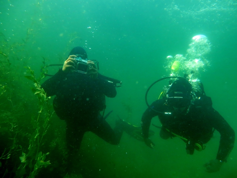 Отворено првенство Војводине у подводној фотографији - Бела Црква