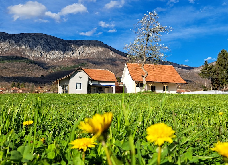 АПАРТМАНИ ПЕТРОВИЋ