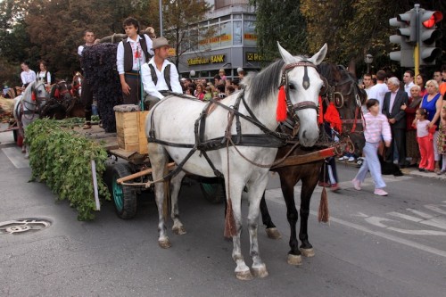 Смедеревска јесен