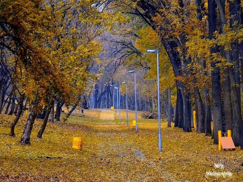 ИЗЛЕТИШТЕ БОРКОВАЦ