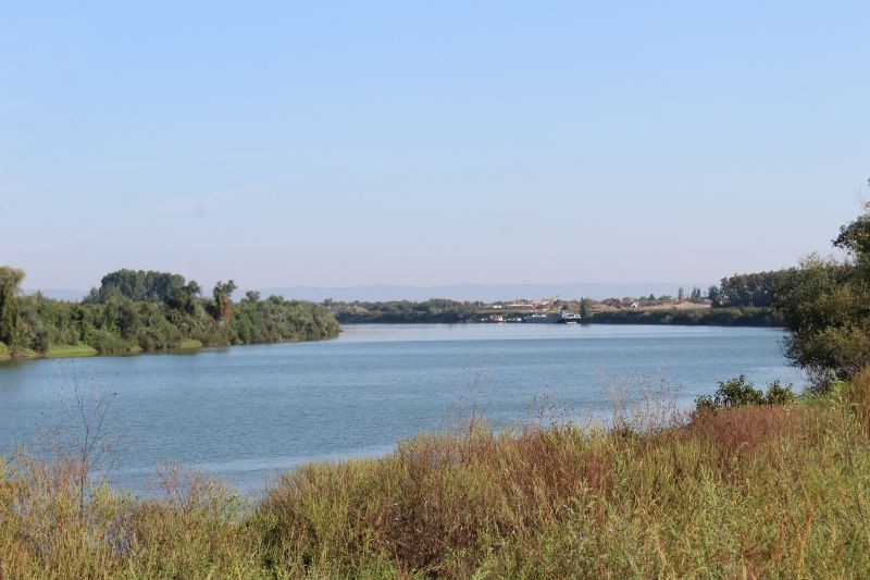 Рума_поглед_на_Саву_са_Гомоглаве_Миле_Вајагић