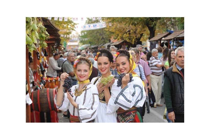 Опленачка берба