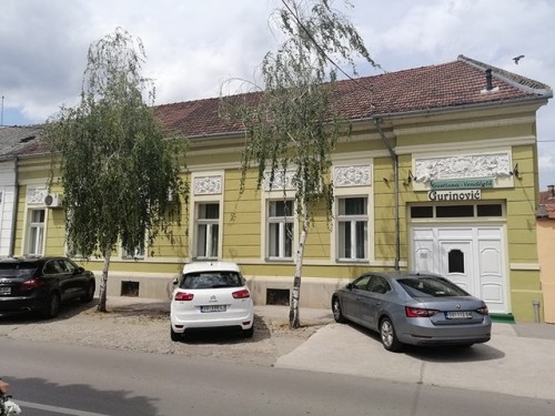 Гостиона ГУРИНОВИЋ