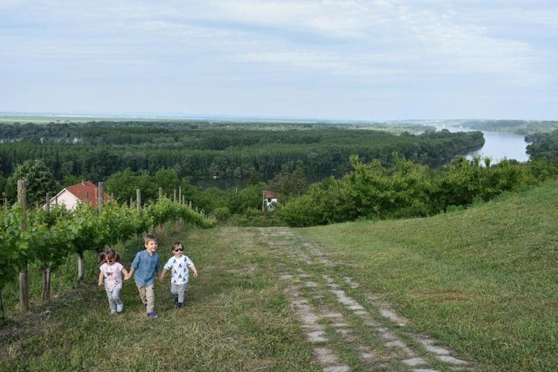 Конкурс за VI групну изложбу СТВАРАЛАЧКА ГРОЦКА 2020
