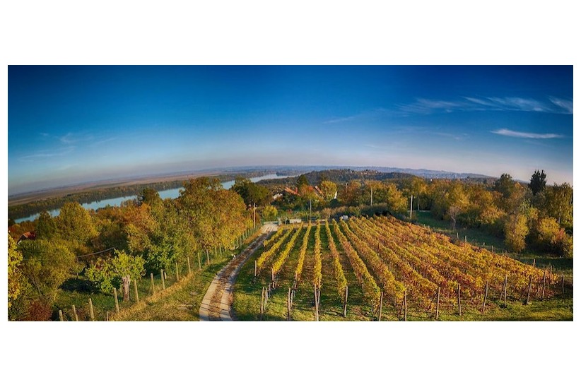 view fall-min.jpg
