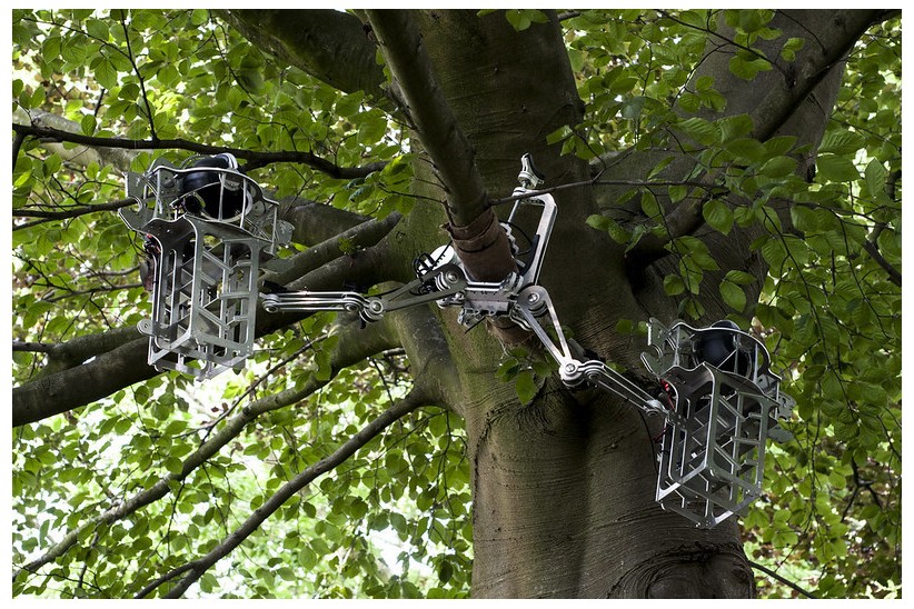 Ars Electronica_Garden Exhibition_.jpg