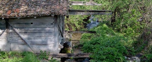 Завичајни музеј Петровац на Млави