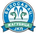 ЈКП Белосавац Жагубица