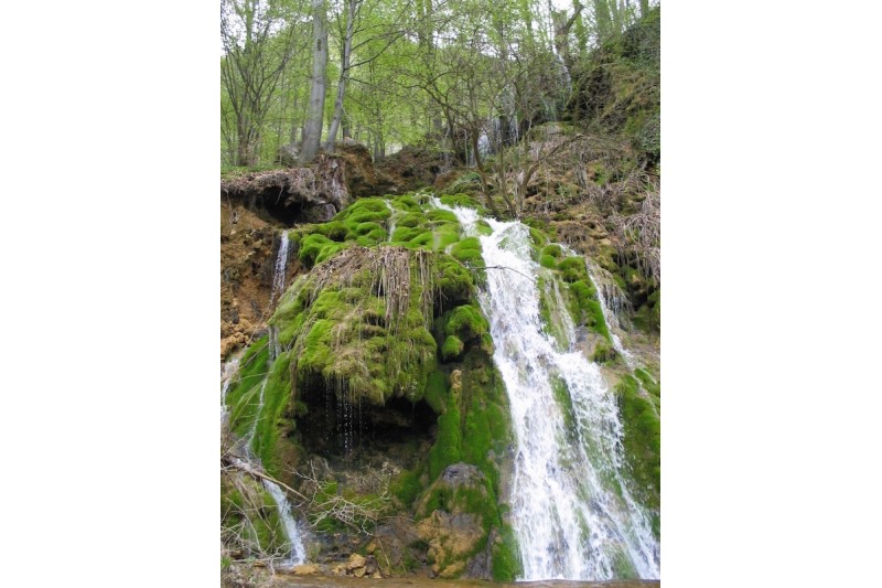 Жагубица_водопад Бук