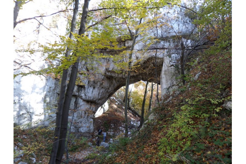 Жагубица_прераст Самар