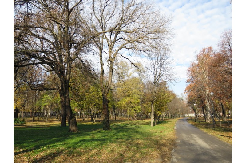 Нови Кнежевац_парк