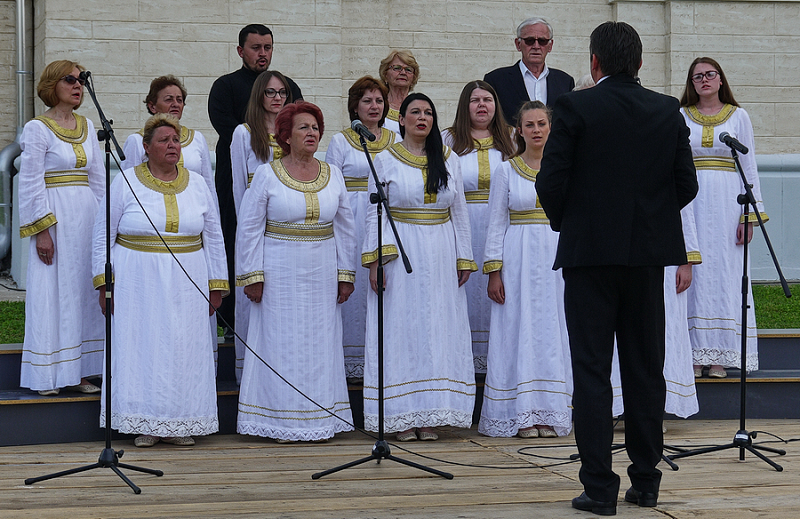 Дани Јанка Веселиновића