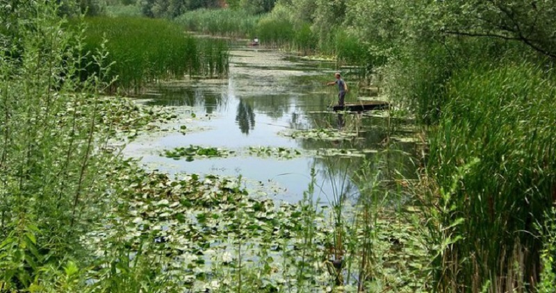 Риболов